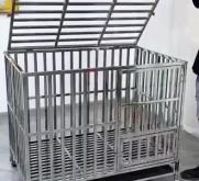 赤峰出售狗籠子電話號(hào)碼是多少