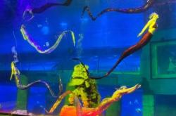 赤峰北辰海洋館購票電話號碼