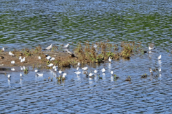赤峰懷來拼車電話號碼多少