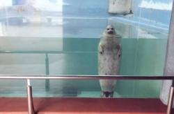 赤峰寵物水族館電話號碼