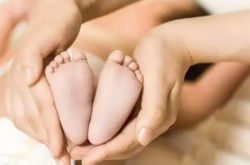 赤峰育兒家政公司電話號碼