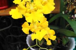 赤峰天虹花奔市場(chǎng)電話號(hào)碼