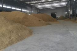 赤峰稻谷收購電話號碼查詢是多少