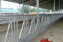 赤峰牛頸夾廠家電話號(hào)碼