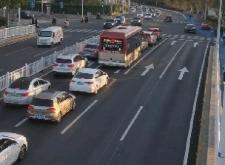 赤峰橋下狗市電話多少號