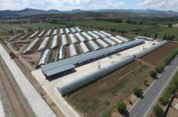 赤峰林西袋裝白灰廠電話號(hào)碼