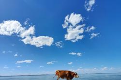 赤峰名豪裝飾怎么樣