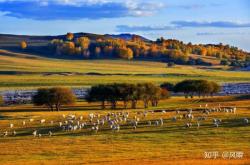 赤峰九沐添香店電話號(hào)碼