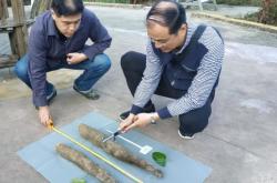 赤峰黑枸杞加工基地電話號(hào)碼