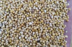 赤峰谷子實(shí)體店電話號碼