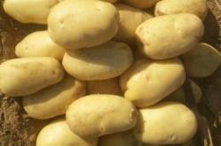 赤峰收購?fù)炼闺娫捥?hào)碼多少號(hào)