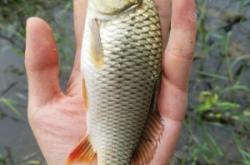 赤峰附近干河釣魚地點電話號碼