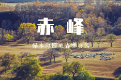 赤峰植物園美食團(tuán)購(gòu)電話(huà)號(hào)碼