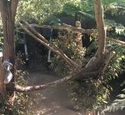 赤峰動物園團(tuán)購電話號碼