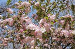 赤峰南大寺熏雞店電話號碼