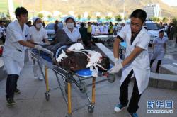 商都到赤峰的大巴電話號(hào)碼是多少