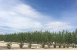 赤峰市林西洗浴按摩電話號(hào)碼