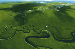 赤峰墨鯨傳媒電話號碼查詢