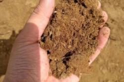 赤峰內蒙羊糞廠商家電話號碼