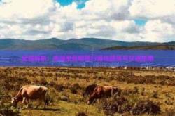 赤峰機(jī)場轉(zhuǎn)機(jī)政策查詢電話號碼