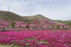 赤峰佳慕釣魚臺(tái)電話號(hào)碼