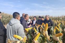 赤峰苞米種植基地電話地址查詢