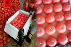 赤峰大棚農(nóng)資經(jīng)銷處電話號(hào)碼