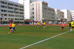 赤峰毛球俱樂部電話號碼多少