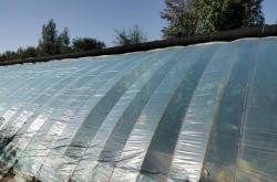 赤峰蔬菜加工設(shè)備廠電話號(hào)碼