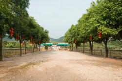 赤峰大棚農(nóng)家樂電話地址查詢