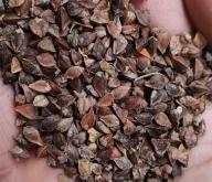 赤峰新蕎麥今日價(jià)格