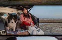 內(nèi)蒙古赤峰上門(mén)遛狗電話(huà)號(hào)碼