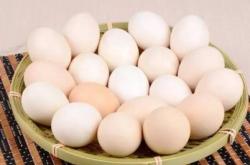 赤峰送雞蛋的電話是多少號