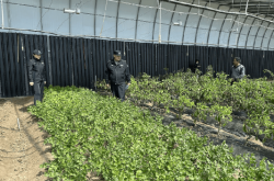 赤峰社區(qū)閑置群電話號(hào)碼是多少