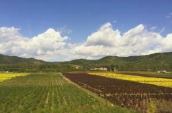赤峰銀洲賓館電話號(hào)碼多少