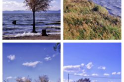 赤峰附近能撈魚的地方