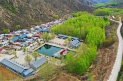 赤峰三西街氣球批發(fā)電話號(hào)碼