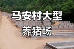 赤峰市養(yǎng)豬場(chǎng)聯(lián)系方式