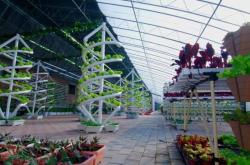 赤峰敖揚(yáng)農(nóng)業(yè)聯(lián)系電話號碼