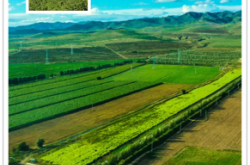 赤峰牛營子在哪里