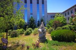 赤峰紅山區(qū)中醫(yī)館電話號(hào)碼