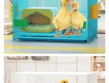 赤峰寵物籠子廠家電話地址查詢