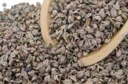 赤峰附近優(yōu)質(zhì)草場(chǎng)地址電話號(hào)碼