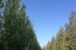 赤峰東方救援隊(duì)電話地址查詢