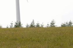 赤峰賣燈籠的電話是多少號(hào)