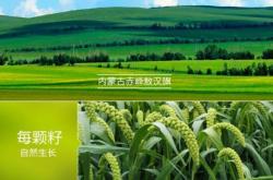 赤峰旺盛糧油店電話號碼查詢