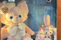 赤峰毛絨事務(wù)所地址電話號碼