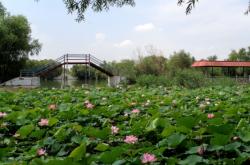 赤峰長(zhǎng)青公園旱冰場(chǎng)電話(huà)號(hào)碼