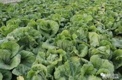 滑縣到赤峰直通車電話號碼