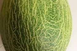 赤峰天天水果超市電話號碼